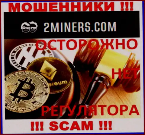 Так как деятельность 2 Miners вообще никто не регулирует, следовательно работать с ними крайне рискованно