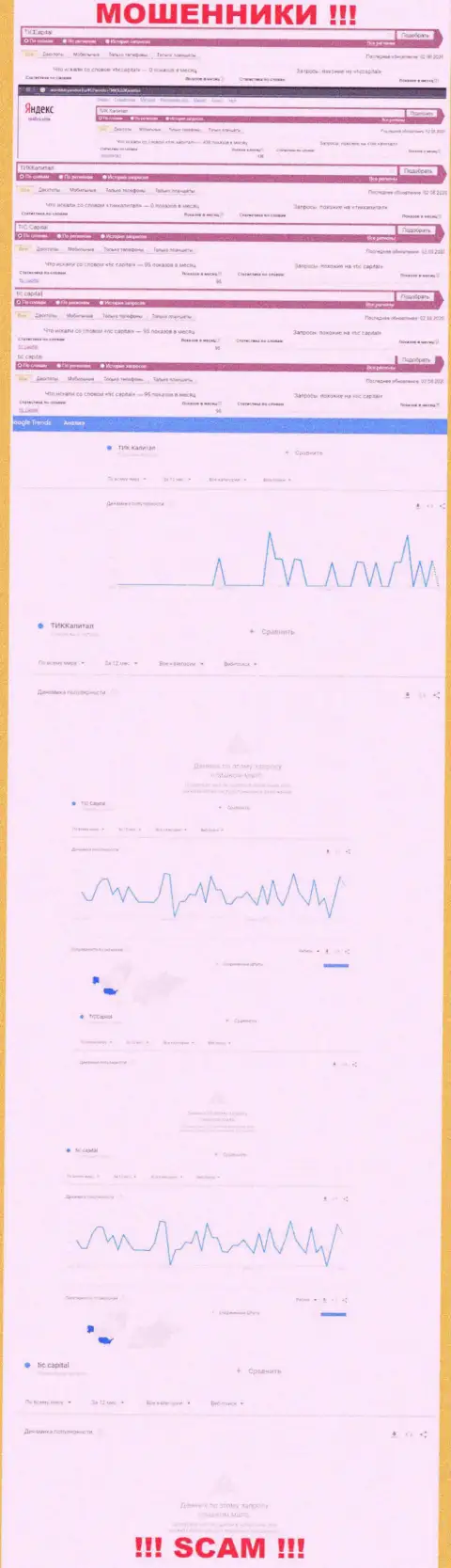 Статистические показатели о запросах в поисковиках глобальной сети интернет данных об компании TIC Capital