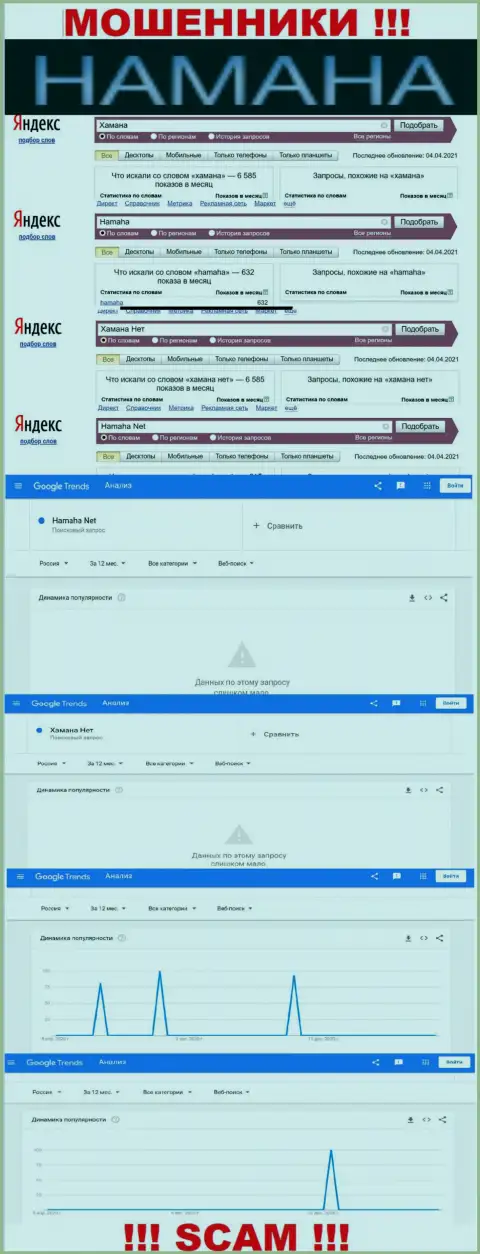 Онлайн запросы по бренду мошенников Хамана Нет в поисковиках internet сети