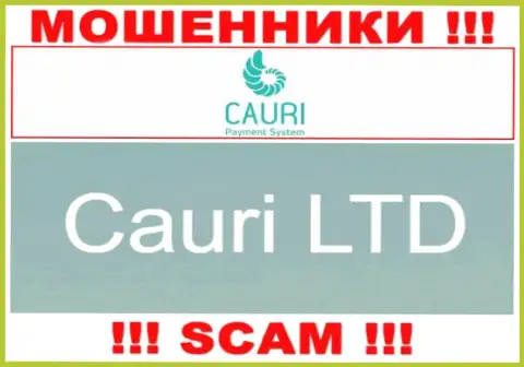 Не стоит вестись на инфу о существовании юр лица, Каури Ком - Cauri LTD, все равно обманут