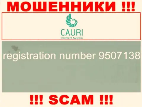 Номер регистрации, принадлежащий противозаконно действующей конторе Каури - 9507138