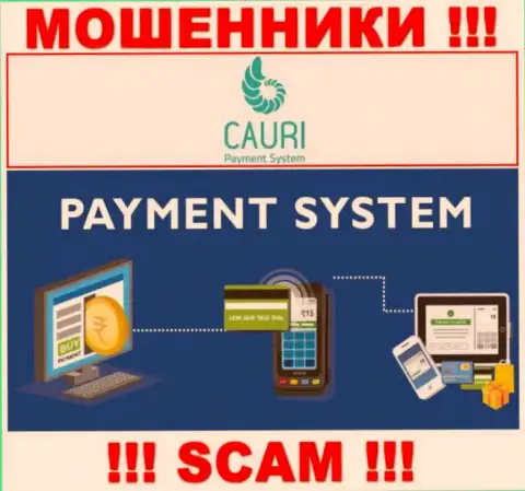 Мошенники Каури ЛТД, промышляя в сфере Payment system, лишают средств наивных людей