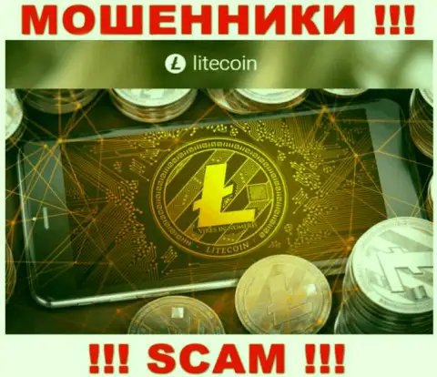 Взаимодействовать с Lite Coin не стоит, так как их направление деятельности Крипто сервис - это развод