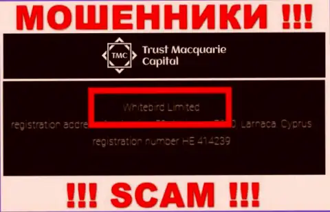 На официальном веб-сервисе Trust M Capital написано, что указанной организацией руководит Whitebird Limited