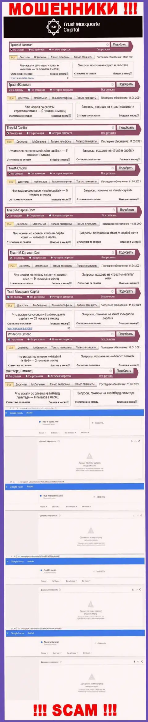 Статистические показатели поисков информации о internet шулерах Trust Macquarie Capital