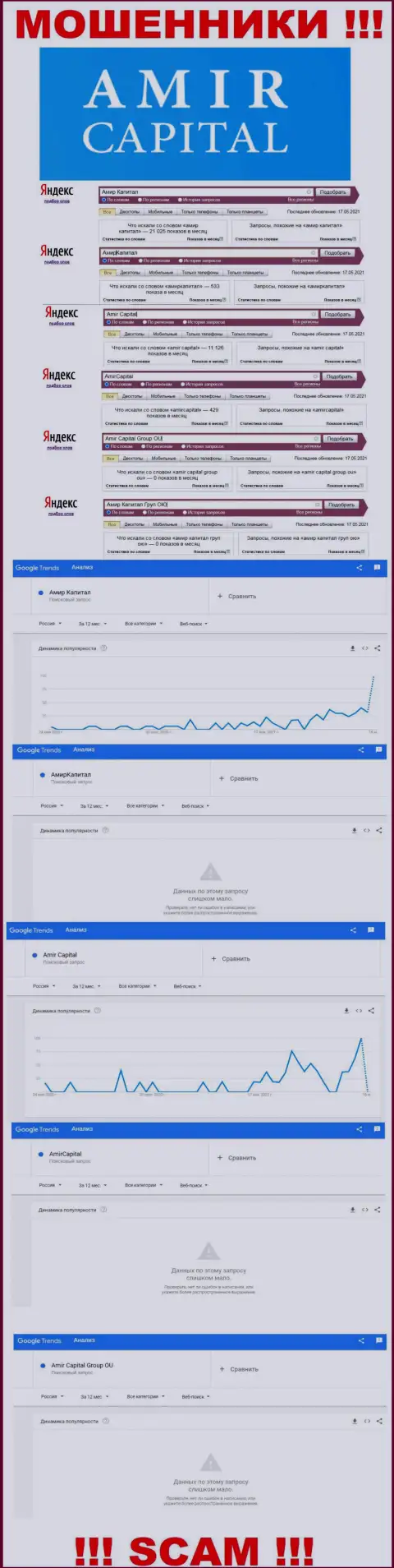 AmirCapital - это МОШЕННИКИ, сколько именно раз искали в поисковиках глобальной сети интернет эту шарашкину контору