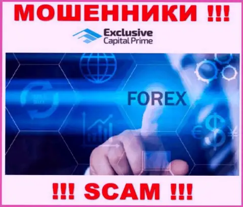 Forex - это тип деятельности мошеннической конторы Эксклюзив Капитал