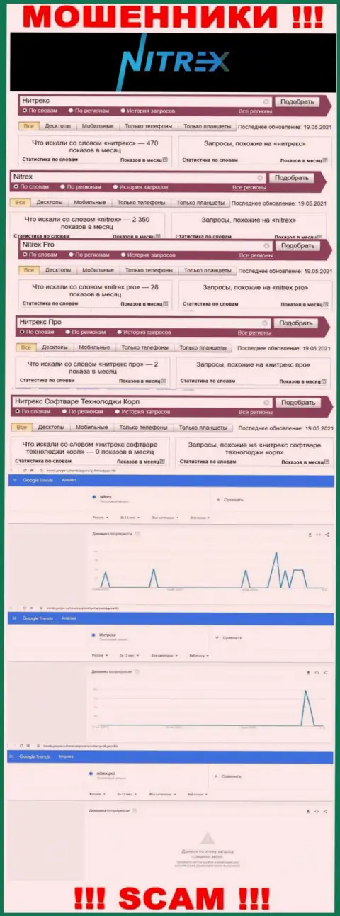 Статистика запросов по бренду Nitrex в интернете