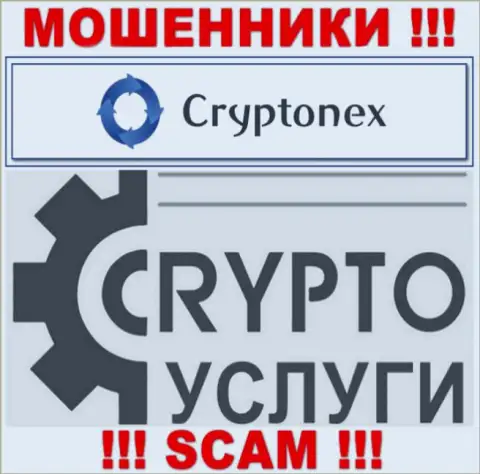 Работая с CryptoNex, область работы которых Крипто услуги, можете лишиться денежных вложений