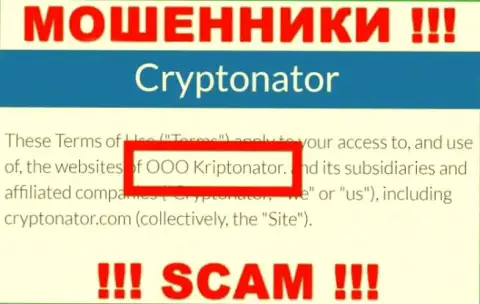 Компания Криптонатор находится под крылом компании OOO Криптонатор
