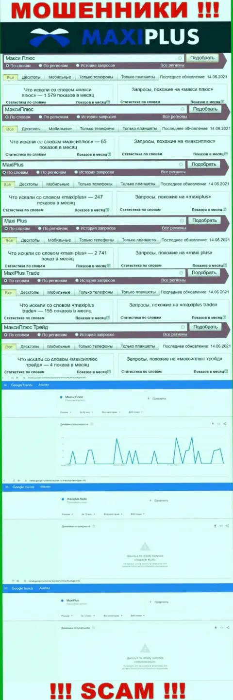 Статистические показатели поиска информации о циничных internet лохотронщиках MaxiPlus