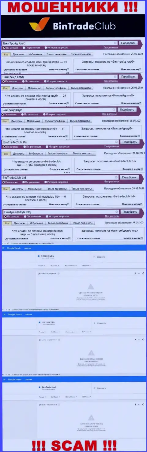 Статистика интернет запросов в поисковиках касательно аферистов BinTradeClub