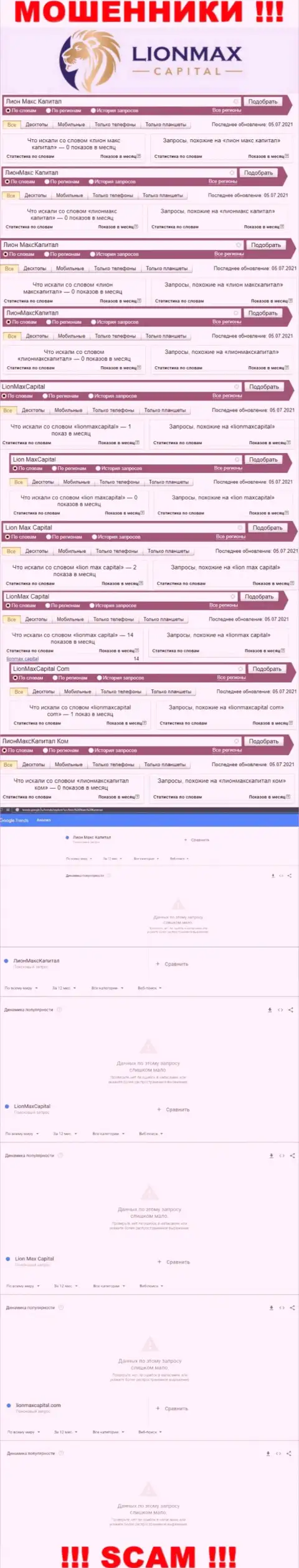 Сколько раз посетители интернет сети искали информацию о кидалах Lion Max Capital ?