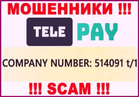 Номер регистрации Tele Pay, который указан мошенниками на их сайте: 514091 t/1