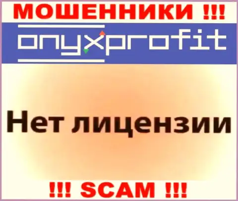 На веб-сервисе OnyxProfit Pro не засвечен номер лицензии, а значит, это еще одни лохотронщики