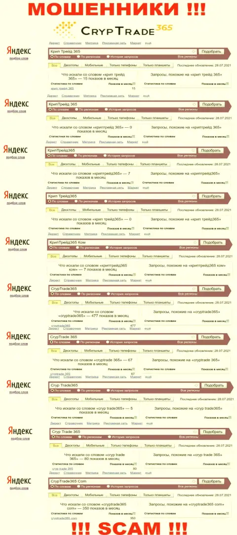 Статистика поиска информации о циничных мошенниках CrypTrade 365