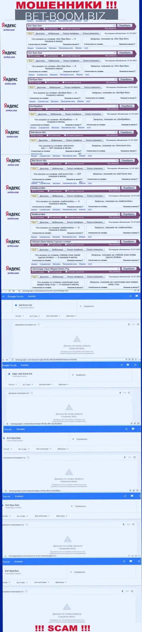 Сколько лохов искали данные о интернет-мошенниках Bet-Boom Biz, какая статистика online запросов ???