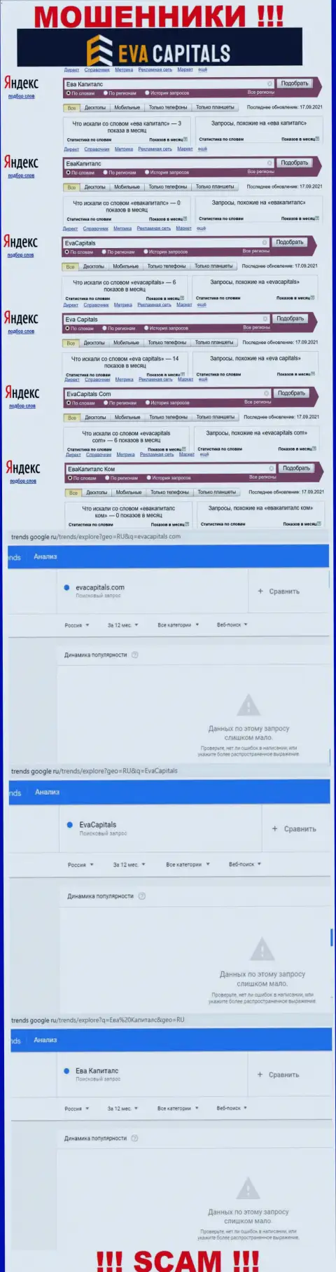 Число запросов данных об мошенниках Eva Capitals в интернет сети