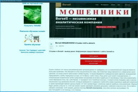 Обзор scam-конторы Borsell Ru - это МОШЕННИКИ !!!