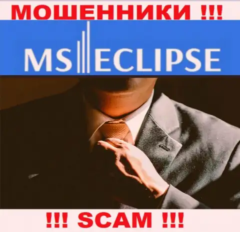 Информации о лицах, которые руководят MS Eclipse во всемирной интернет паутине найти не удалось