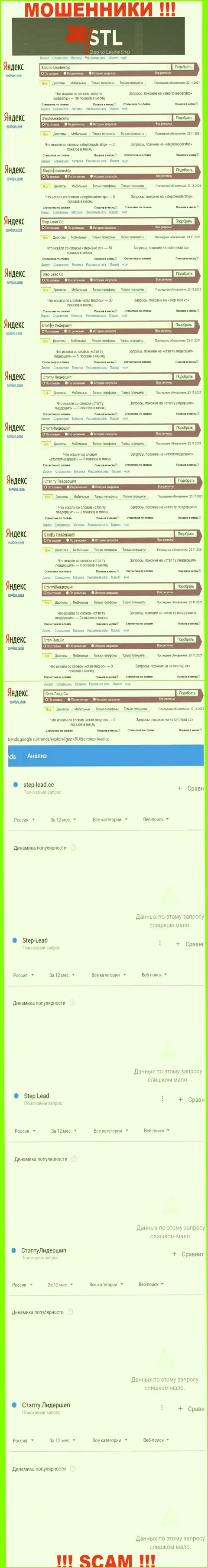 Статистические данные интернет запросов в поисковиках касательно мошенников Стэп ту Лидершип