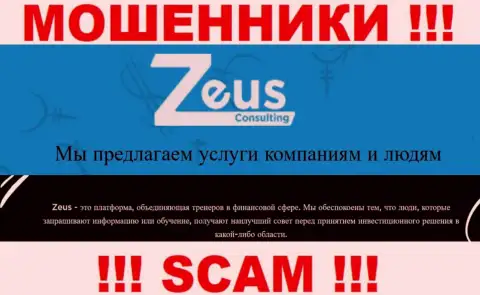 Вид деятельности internet мошенников Zeus Consulting - это Консалтинг, однако помните это обман !!!