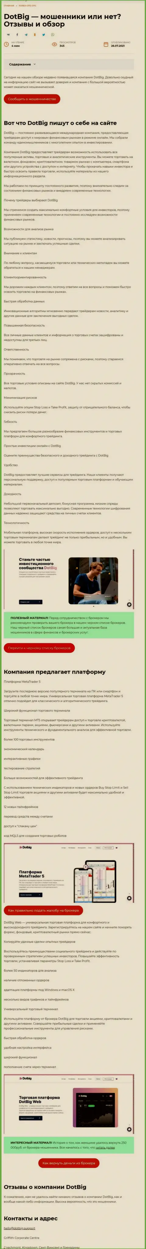 DotBig Com - internet-мошенники, которым денежные средства доверять нельзя ни при каких обстоятельствах (обзор афер)