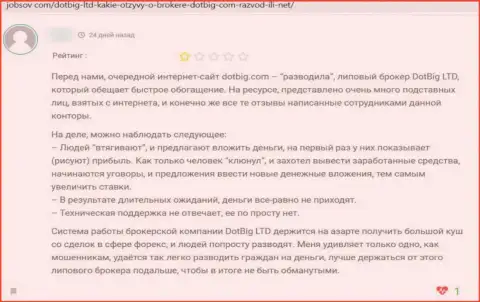 Автора отзыва ограбили в организации ДотБиг, украв все его финансовые активы