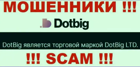 Dot Big - юр лицо мошенников организация DotBig LTD