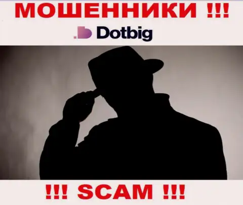 Перейдя на информационный портал воров DotBig Com вы не отыщите никакой информации о их непосредственном руководстве