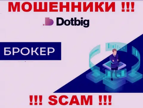 Dot Big - это ОБМАНЩИКИ, род деятельности которых - Брокер