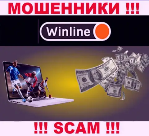 Будьте крайне внимательны !!! WinLine Ru - это явно воры !!! Их работа противозаконна