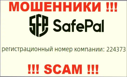 Рег. номер компании SafePal - 224373