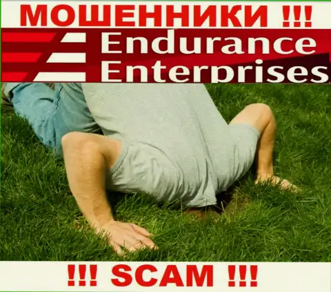 Endurance Enterprises - это несомненно ВОРЫ !!! Организация не имеет регулятора и лицензии на свою работу