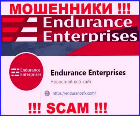 Установить контакт с интернет махинаторами из компании Endurance Enterprises Вы сможете, если напишите письмо на их адрес электронной почты