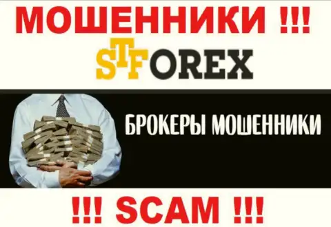 Мошенники STForex только задуривают мозги клиентам, обещая заоблачную прибыль