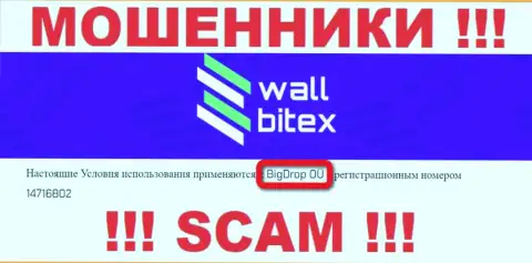 WallBitex - это ВОРЮГИ ! Управляет указанным лохотроном БигДроп ОЮ