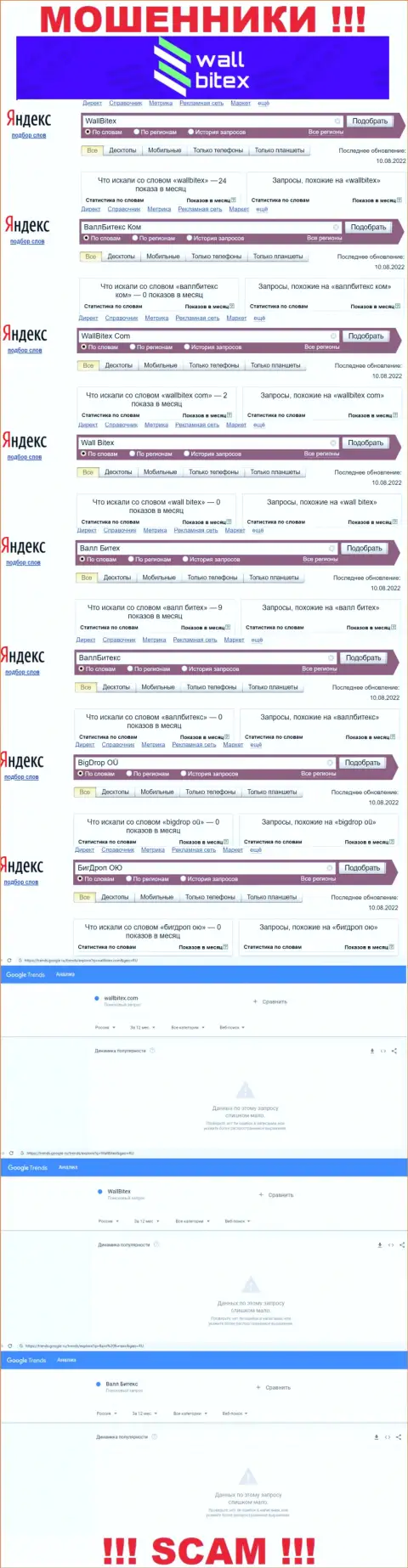 Статистические данные по бренду WallBitex, сколько людей заинтересовались этими мошенниками