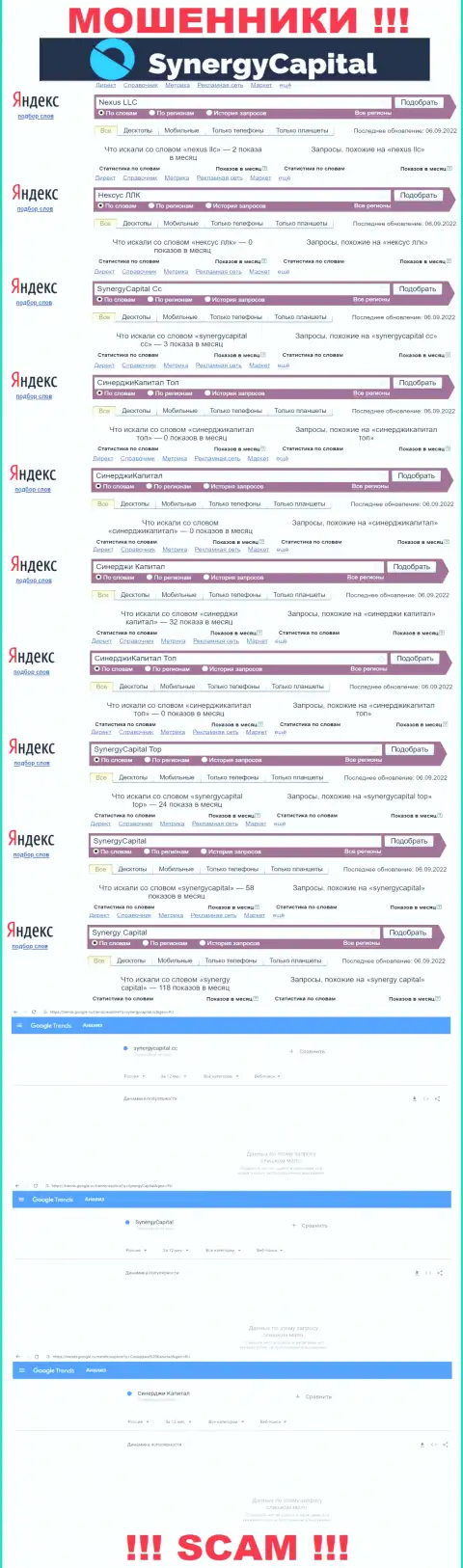 Статистические данные запросов по бренду SynergyCapital в глобальной сети internet