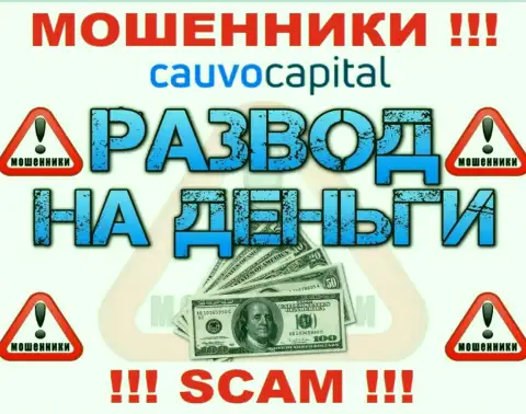 Даже и не мечтайте, что с брокерской организацией CauvoCapital реально приумножить прибыль, Вас обманывают