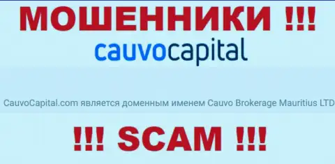 Мошенники CauvoCapital принадлежат юридическому лицу - Кауво Брокеридж Маврикий ЛТД