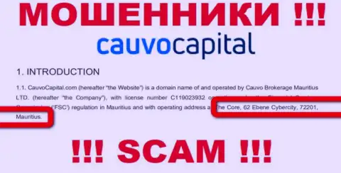 Нереально забрать назад вложенные денежные средства у компании CauvoCapital Com - они засели в оффшоре по адресу The Core, 62 Ebene Cybercity, 72201, Mauritius