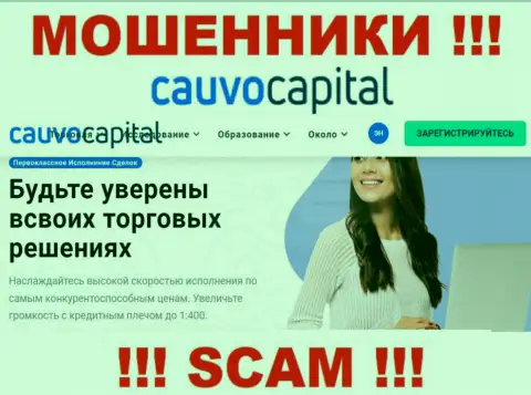 Брокер - именно в таком направлении оказывают услуги интернет обманщики CauvoCapital Com