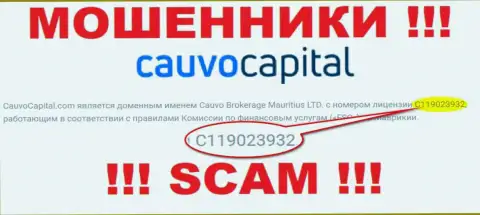 Мошенники CauvoCapital искусно оставляют без денег клиентов, хотя и разместили лицензию на сайте