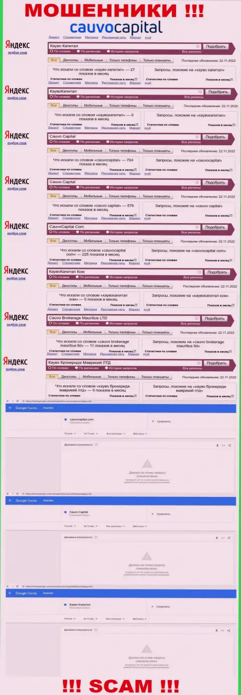 CauvoCapital - это МОШЕННИКИ, сколько именно раз искали в поисковиках всемирной интернет сети данную компанию