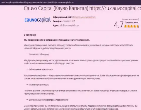 Материал об торговых условиях компании Cauvo Capital на онлайн-сервисе revocon ru