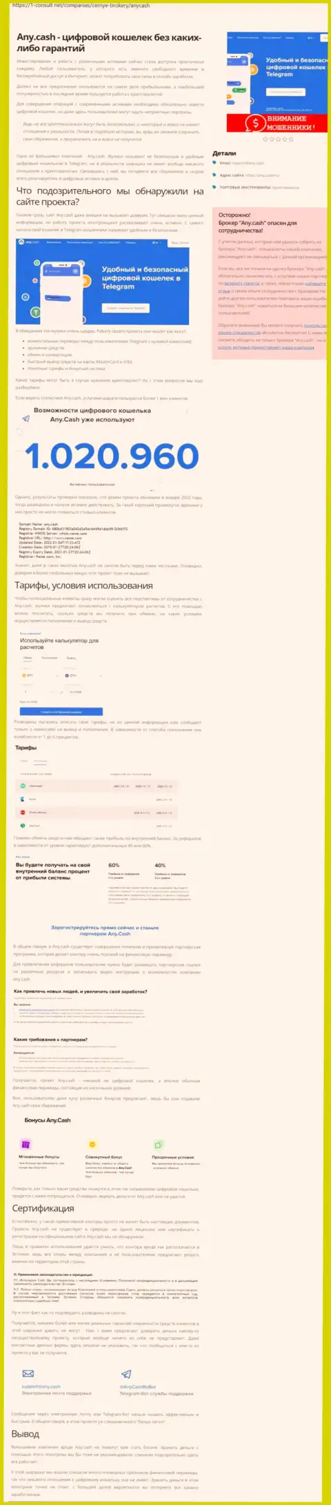 Клиенты AnyCash оказались жертвой от работы с указанной конторой (обзор)