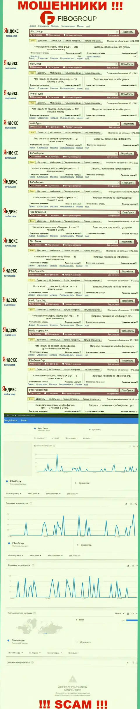 Статистика поиска инфы об интернет-жуликах FiboForex Org