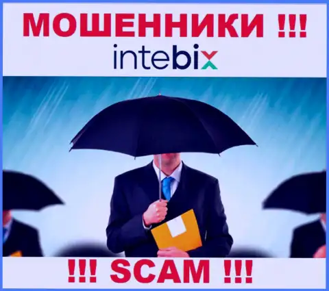 Руководство Intebix тщательно скрыто от internet-пользователей