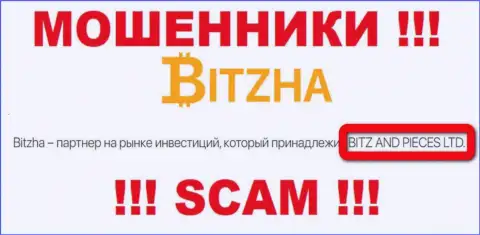 На официальном сайте Битжа мошенники написали, что ими управляет Битж энд Пицес Лтд